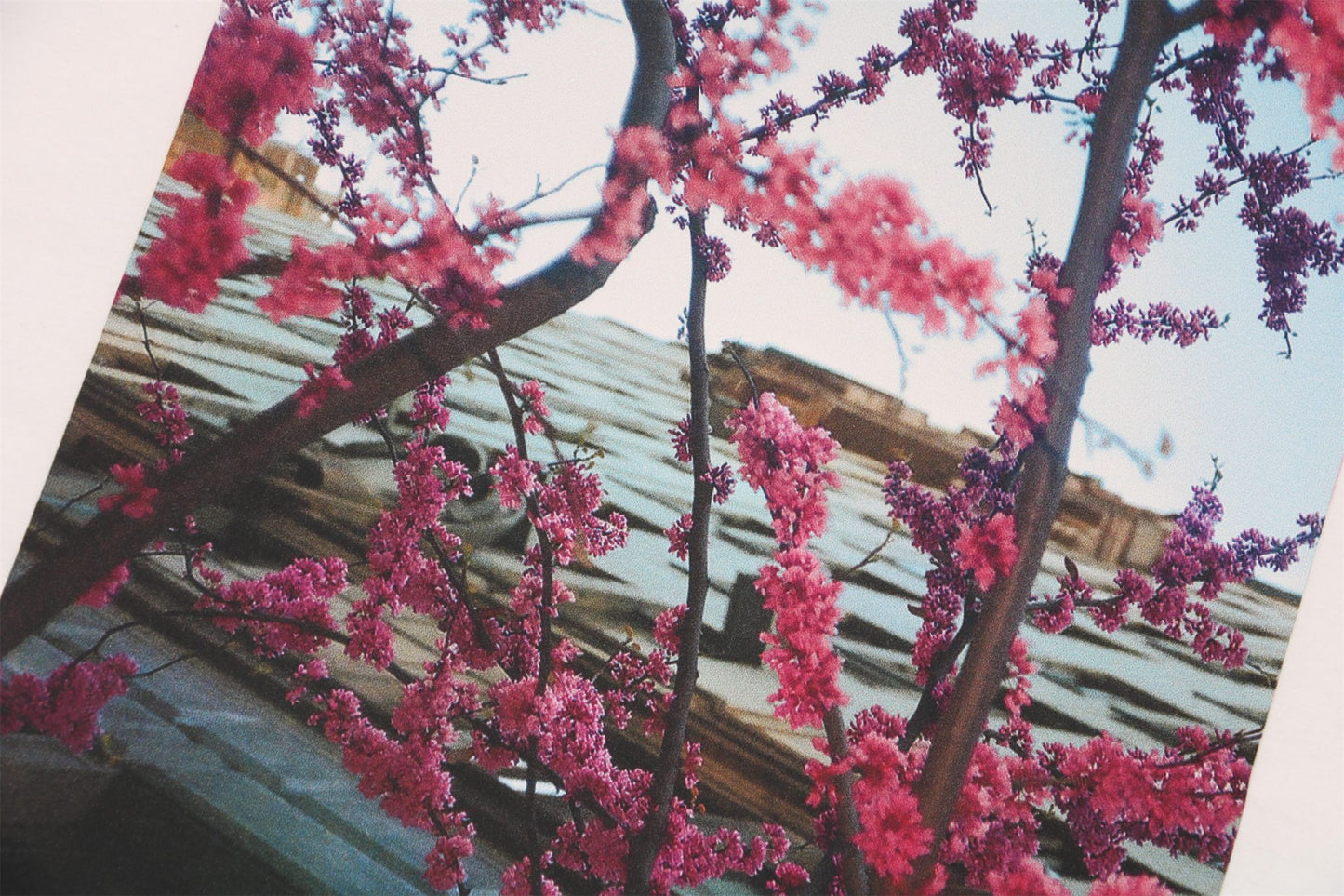 FOG White Essentials T-Shirt 2