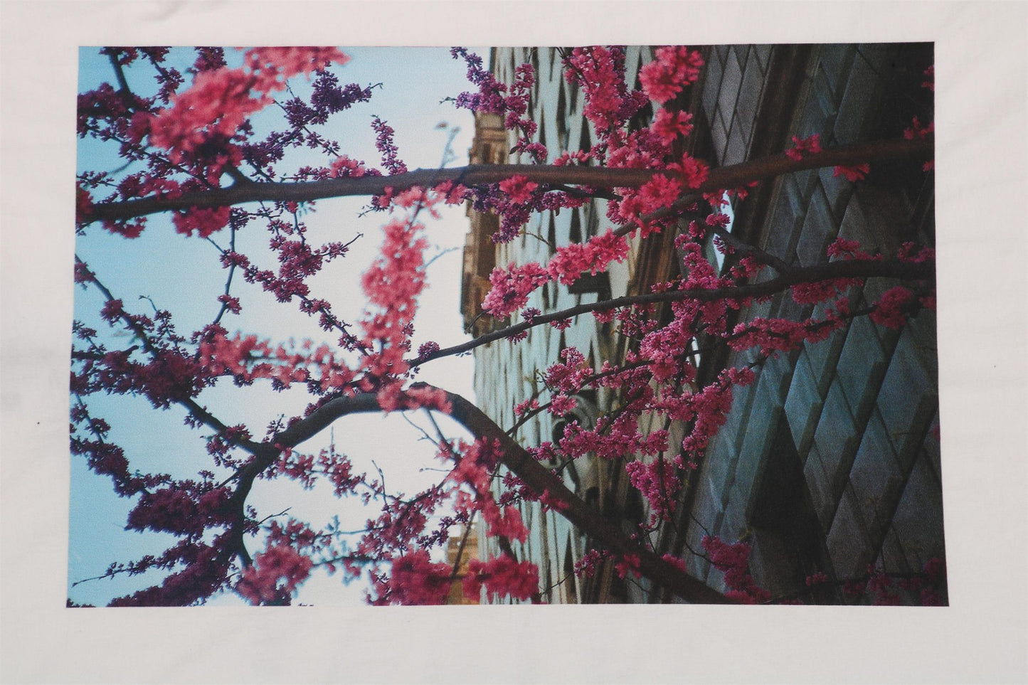 FOG White Essentials T-Shirt 2