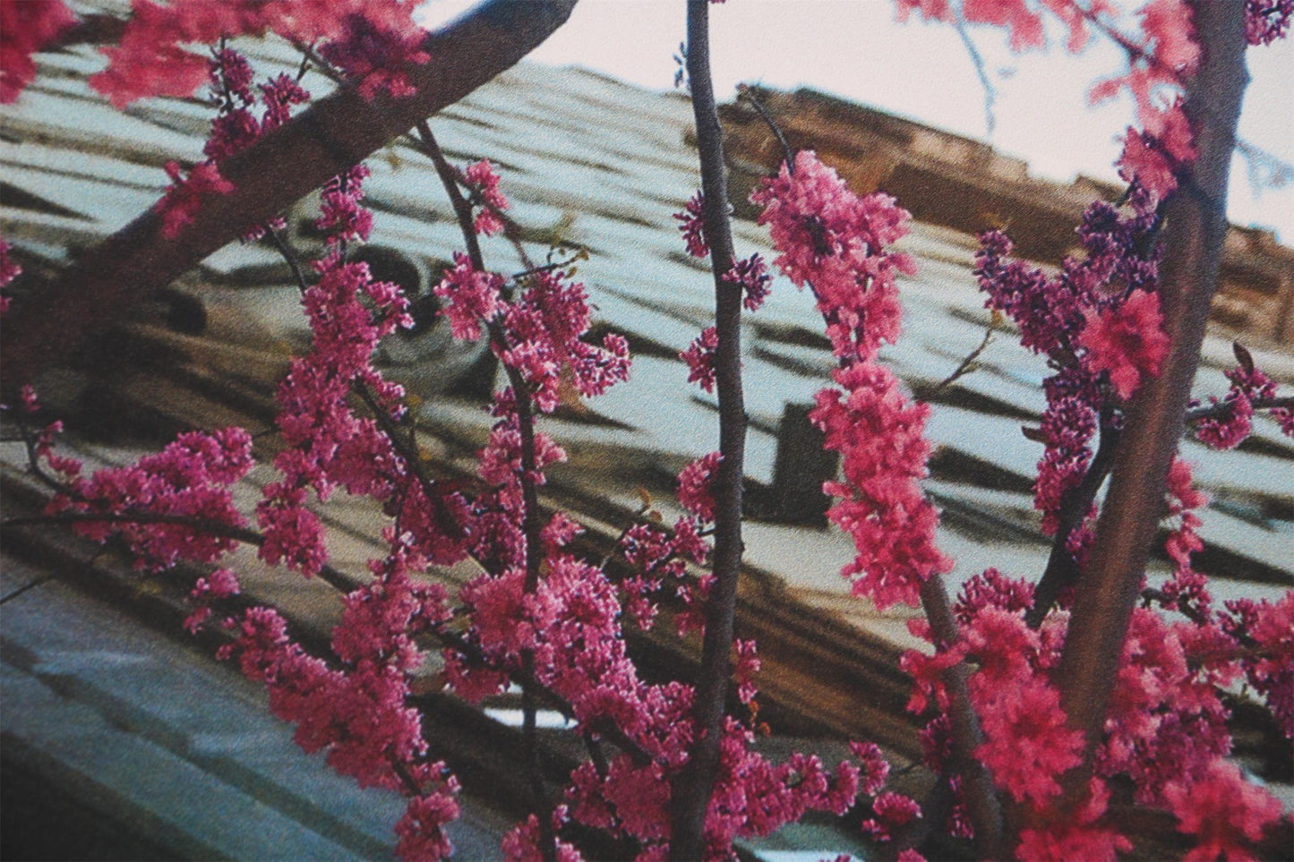 FOG White Essentials T-Shirt 2