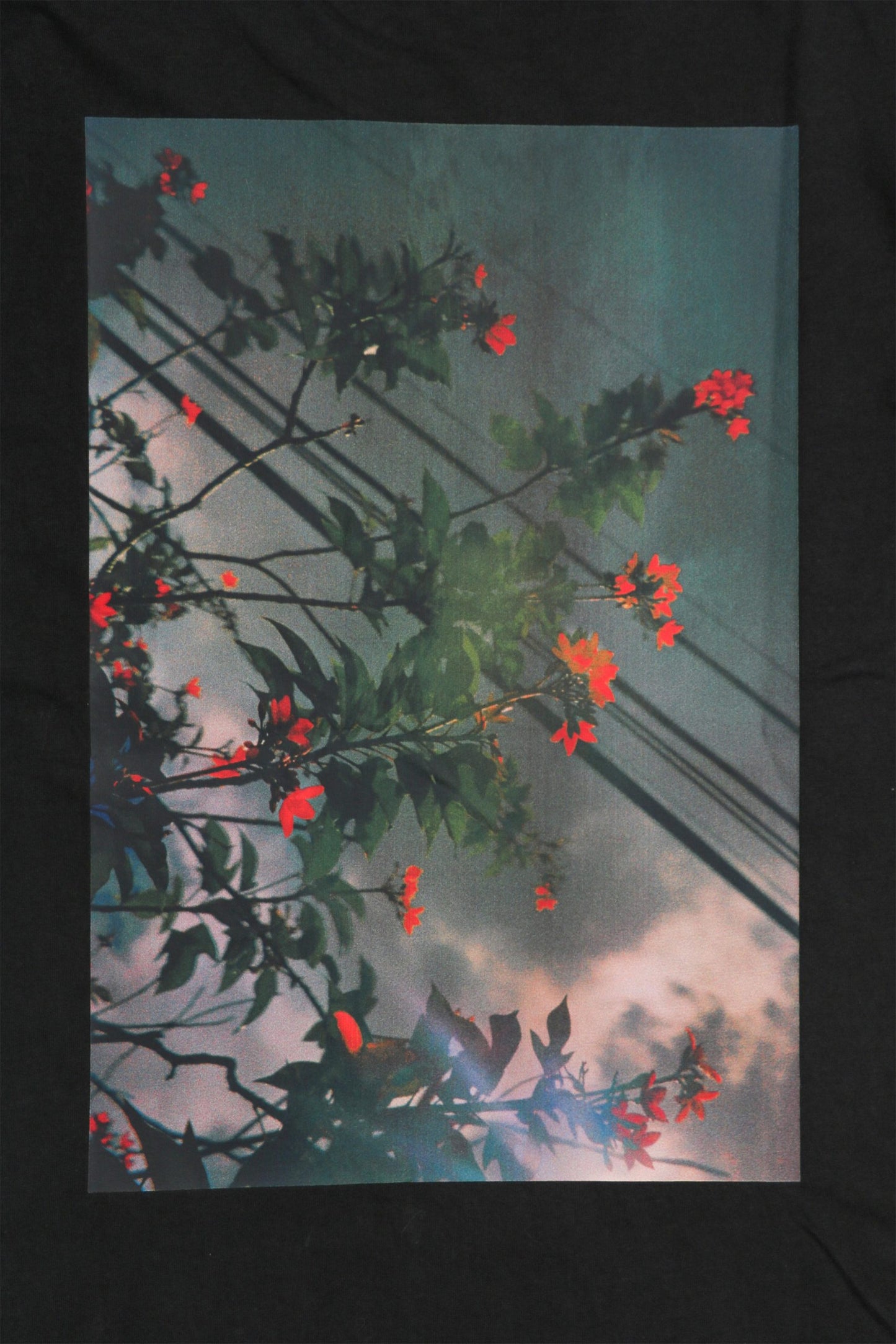 FOG Black Essentials T-Shirt 4