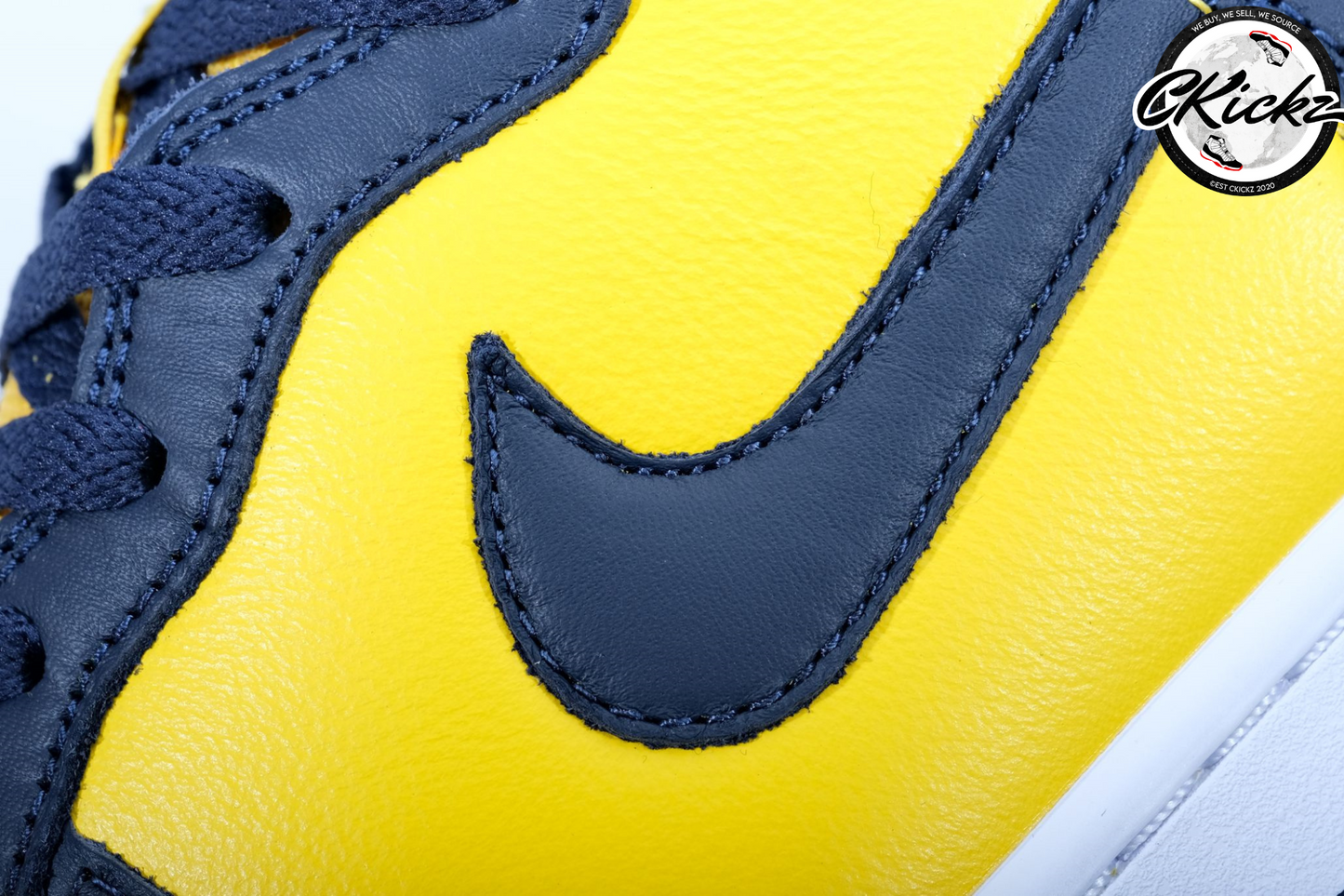 NK Dunk High Michigan