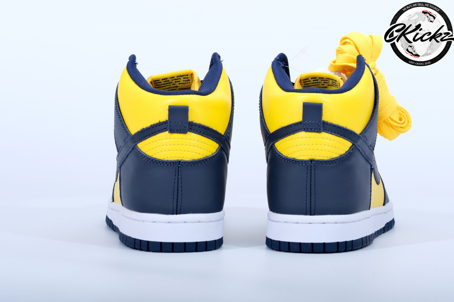 NK Dunk High Michigan