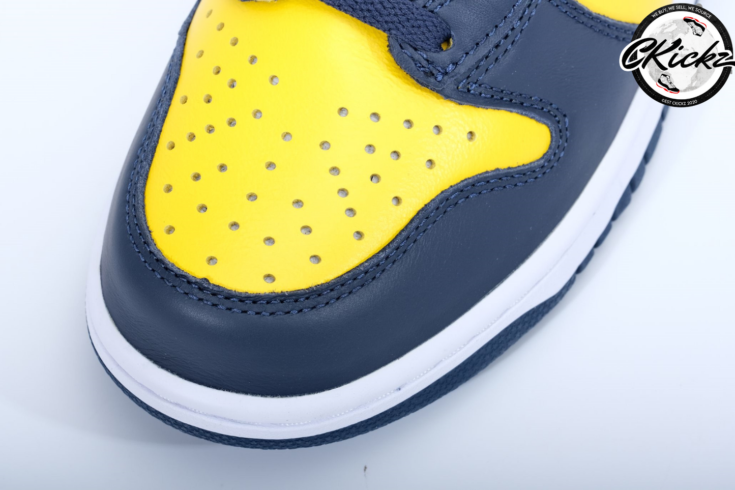 NK Dunk High Michigan
