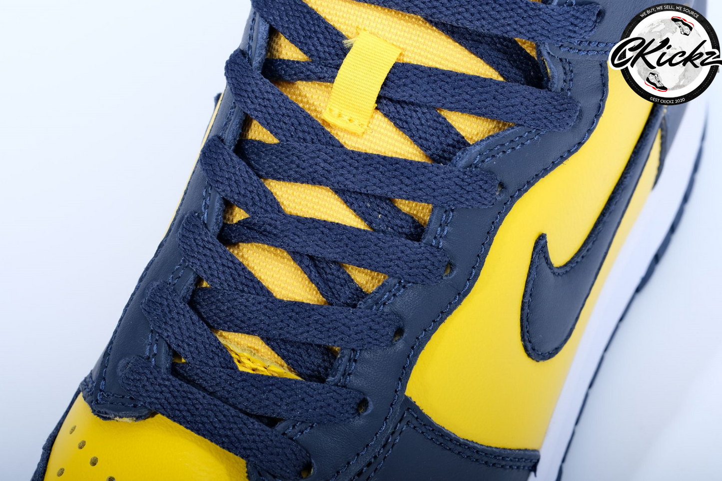 NK Dunk High Michigan