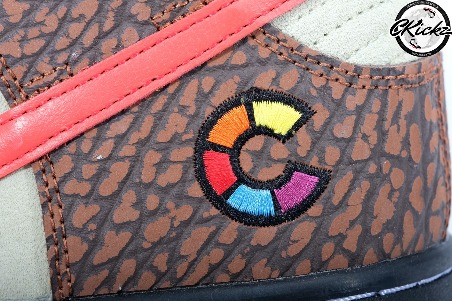 Color Skates X NK SB Dunk High Kebab & Destroy