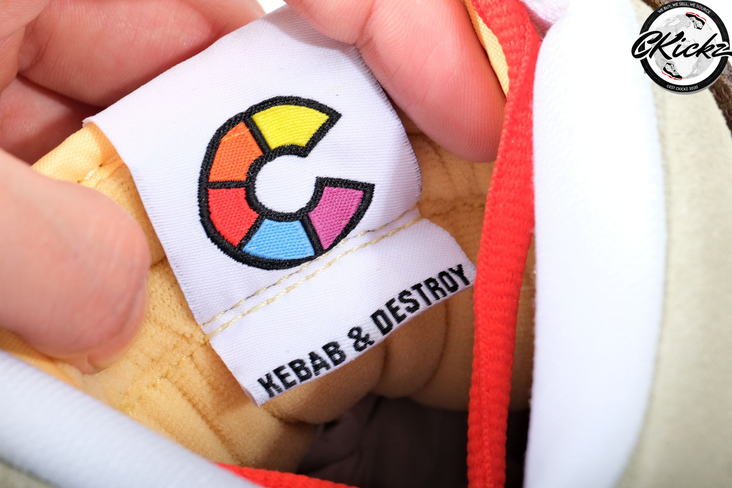 Color Skates X NK SB Dunk High Kebab & Destroy
